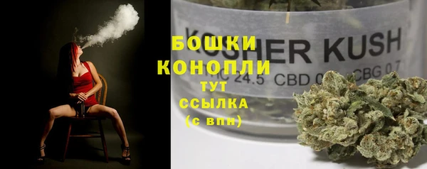 гидропоника Абаза
