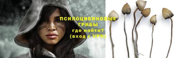 крисы Абдулино