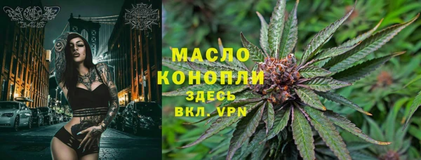 крисы Абдулино